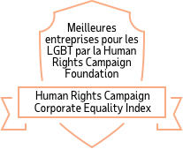 Meilleures entreprises pour les LGBT par la Human Rights Campaign Foundation: Human Rights Campaign Corporate Equality Index