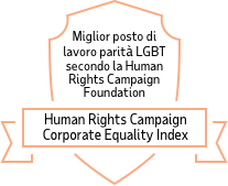 Best Places to Work for LGBT Equality: Human Rights Campaign Corporate Equality Index