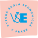 VSE-logo-1